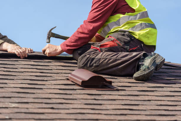 Best Roof Waterproofing Services  in Hurley, MS