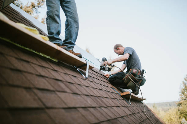 Best Sealant for Roof  in Hurley, MS